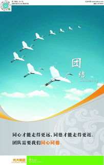 團結廣告設計PSD素材免費下載 編號5970605紅動網(wǎng)，助力軟件開發(fā)