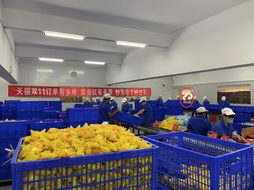 無人可擋 柳州螺螄粉與軟件開發的融合發展